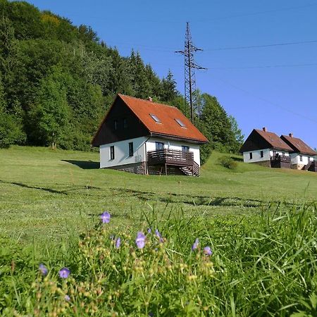 Вилла Green Valley Park Starkov  Экстерьер фото