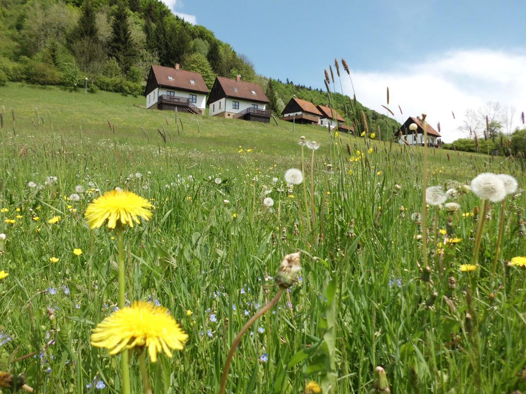 Вилла Green Valley Park Starkov  Экстерьер фото