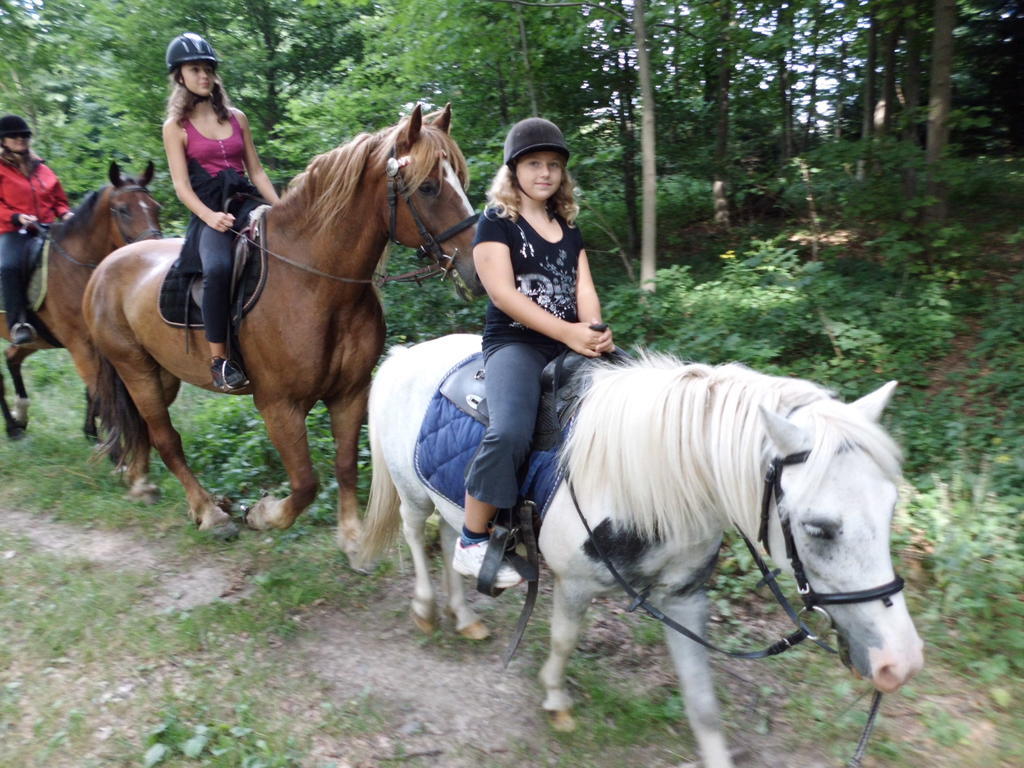 Вилла Green Valley Park Starkov  Экстерьер фото