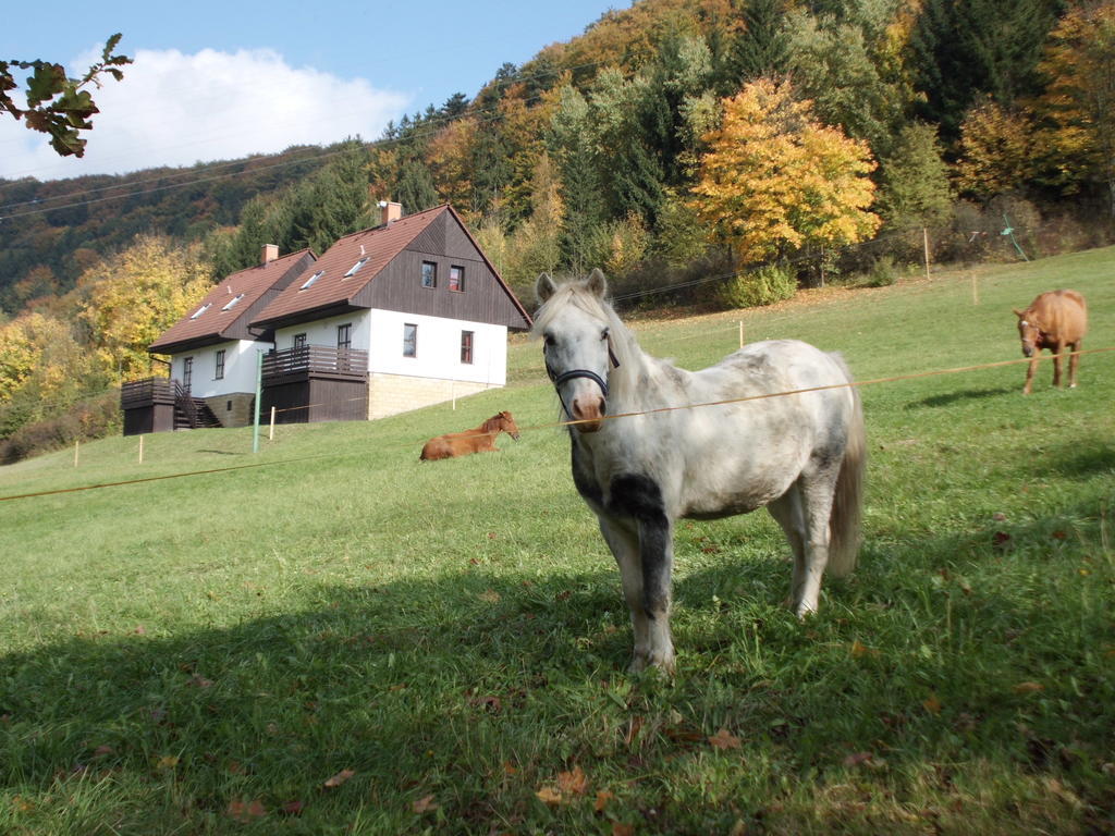 Вилла Green Valley Park Starkov  Экстерьер фото