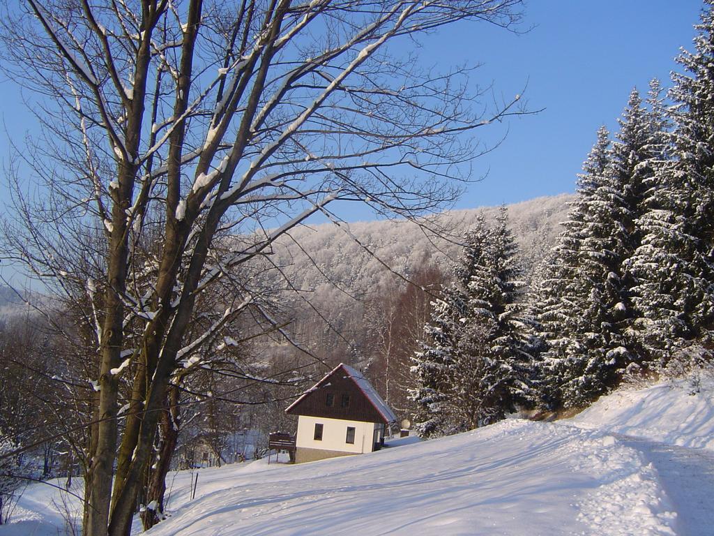 Вилла Green Valley Park Starkov  Экстерьер фото