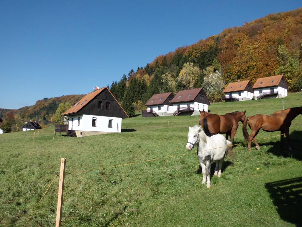 Вилла Green Valley Park Starkov  Экстерьер фото