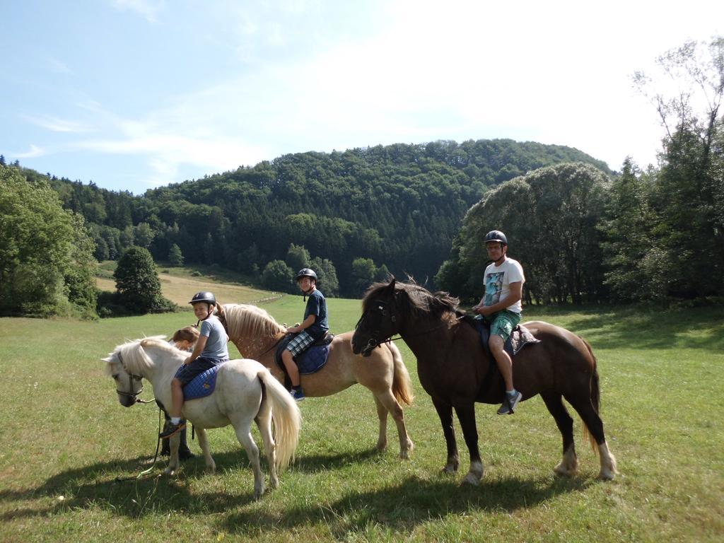 Вилла Green Valley Park Starkov  Экстерьер фото