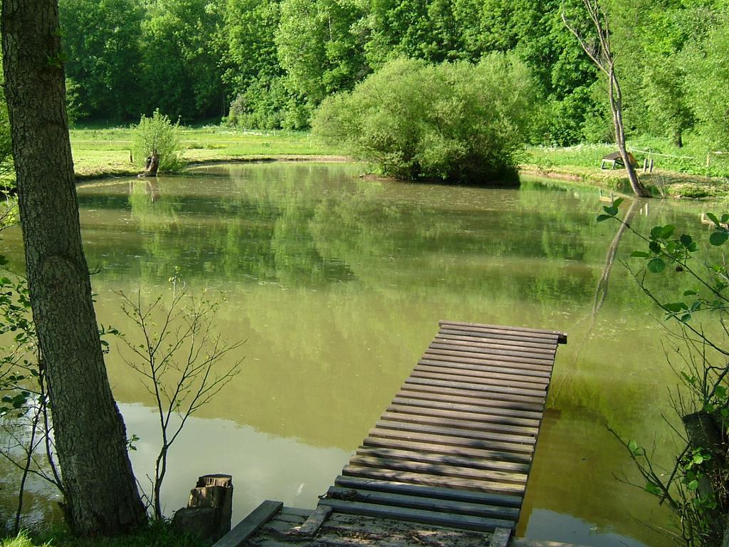 Вилла Green Valley Park Starkov  Экстерьер фото