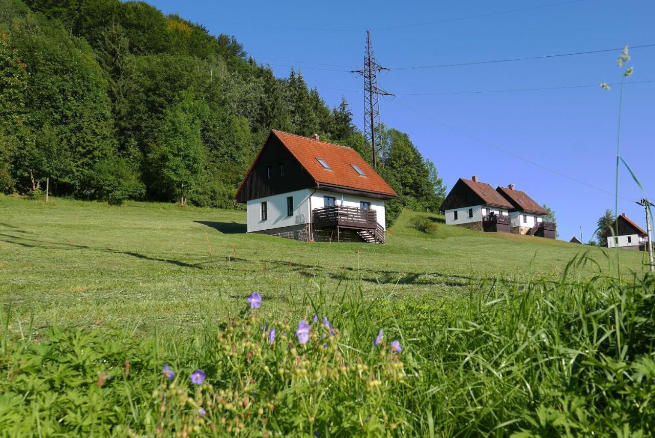 Вилла Green Valley Park Starkov  Экстерьер фото