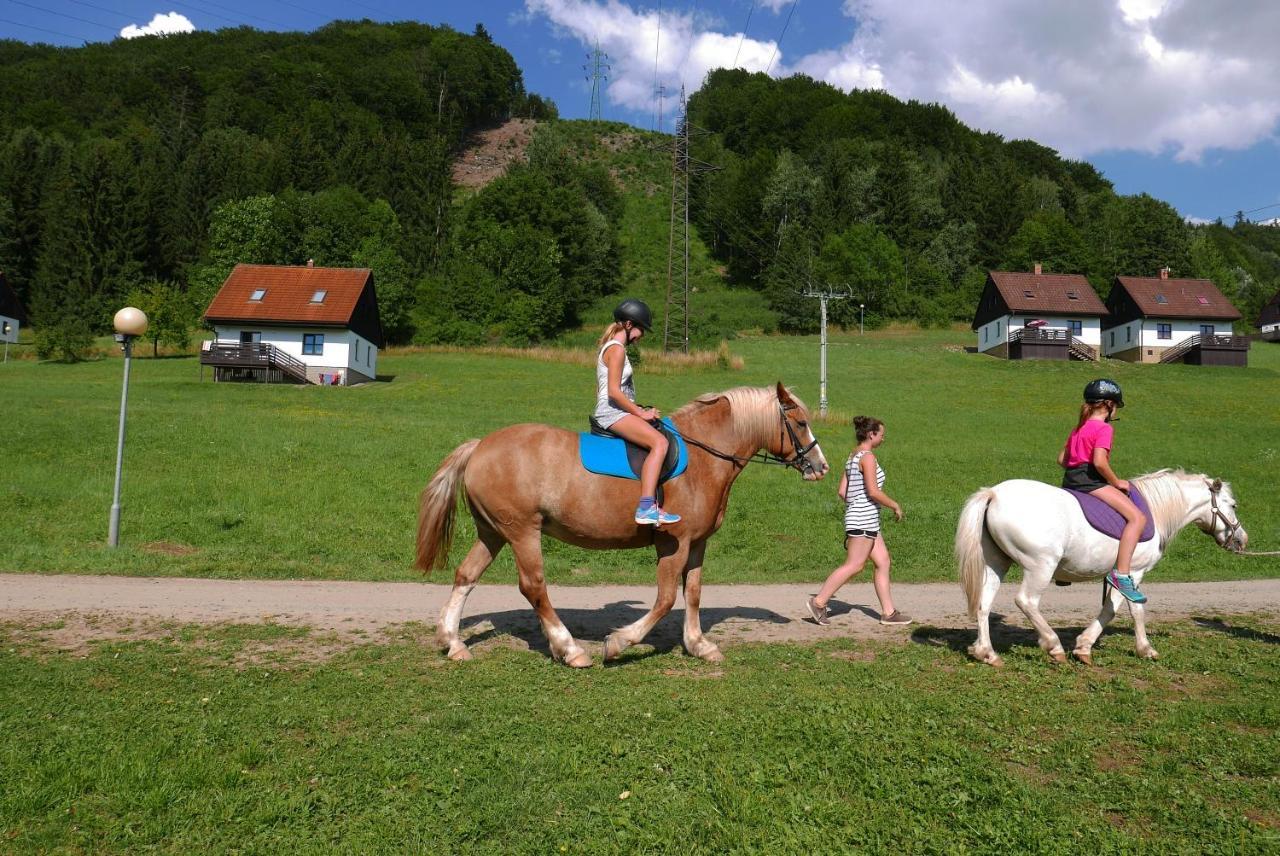 Вилла Green Valley Park Starkov  Экстерьер фото