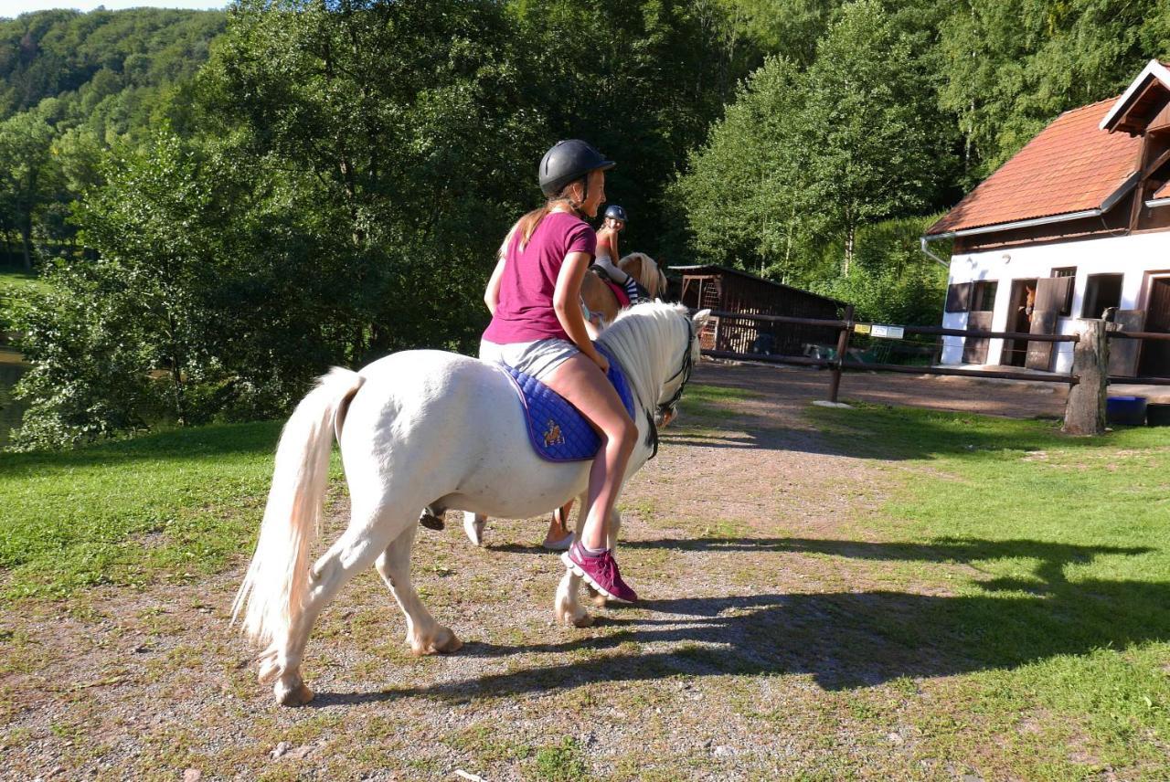 Вилла Green Valley Park Starkov  Экстерьер фото